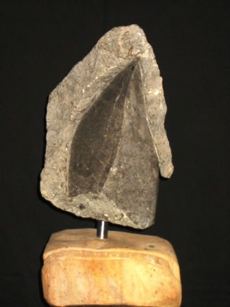 Escultura de fósiles y molejón